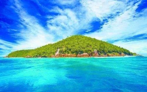 年画进万家 这场系列活动让年味渐浓